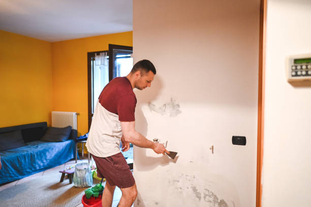 Best Certified Mold Removal  in South San Jose Hills, CA
